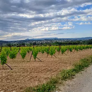 Terrain à bâtir, 219 m²