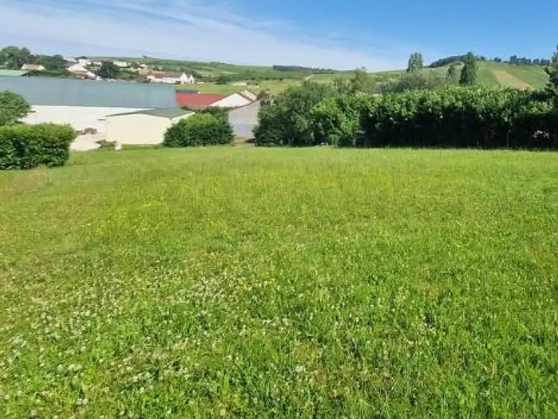 Terrain à bâtir, 950 m² - Saint-Bris-le-Vineux (89530)