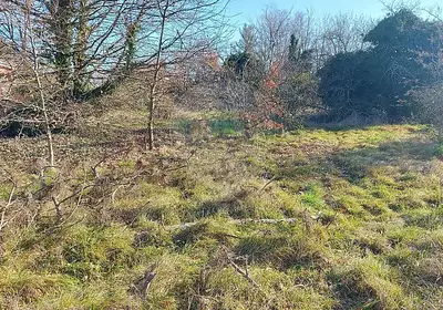 Maison neuve, 95 m²