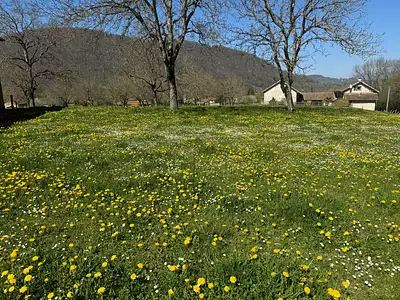 Terrain à bâtir, 800 m²