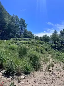 Terrain à bâtir, 1 289 m²