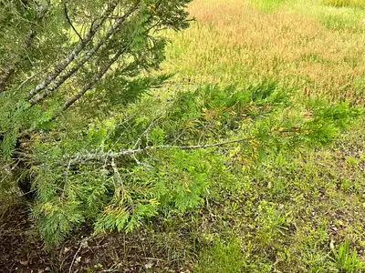 Maison neuve, 120 m²