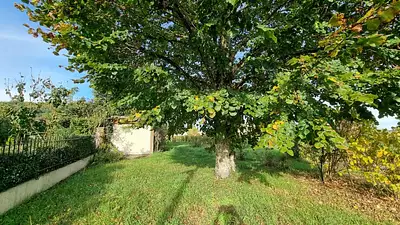 Terrain à bâtir, 877 m²