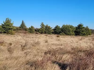 Maison neuve, 124 m²