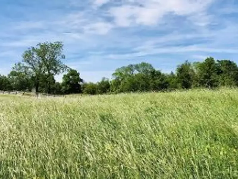 Terrain à bâtir, 756 m² - Chinon (37500)