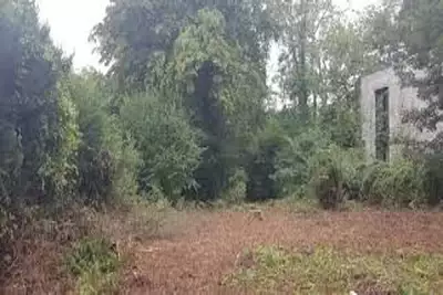 Terrain à bâtir, 442 m²