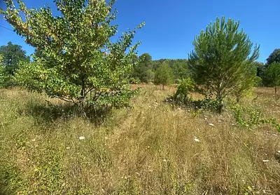 Maison neuve, 100 m²