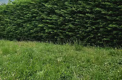 Terrain à bâtir, 670 m²