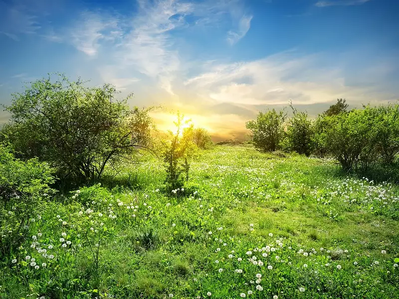 Terrain à bâtir, 839 m² - Bouliac (33270)