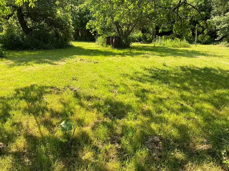 Maison neuve, 102 m² - Saintry-sur-Seine (91250)