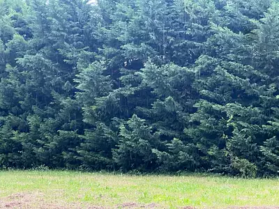 Maison neuve, 81 m²