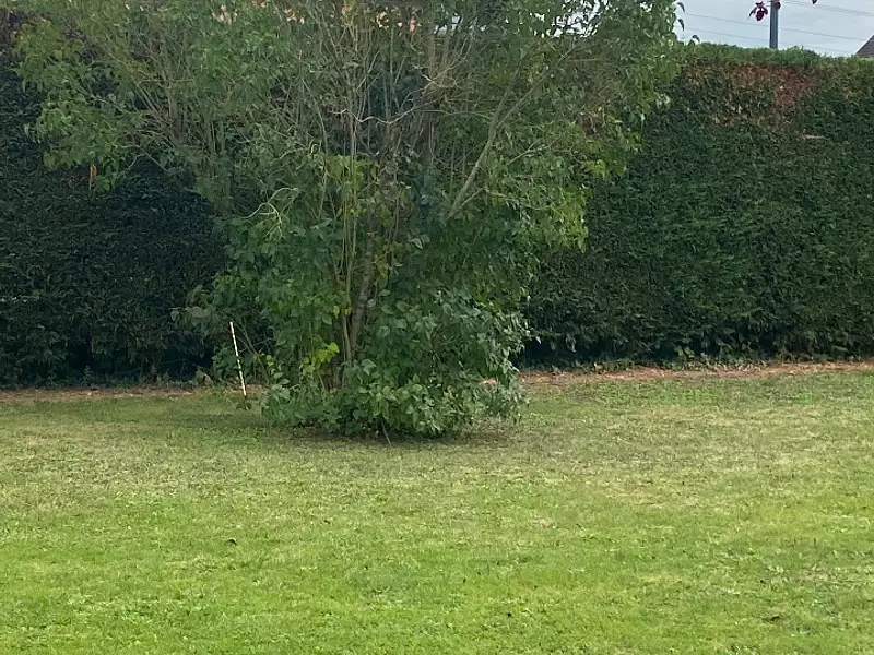 Terrain à bâtir, 210 m² - Domont (95330)