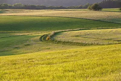 Maison neuve, 85 m²