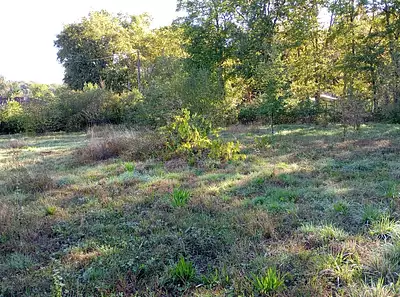 Terrain à bâtir, 1 100 m²