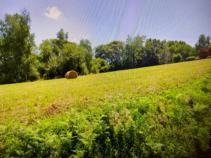 Terrain à bâtir, 1 532 m² - Lhez (65190)