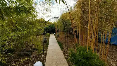 Terrain à bâtir, 300 m²