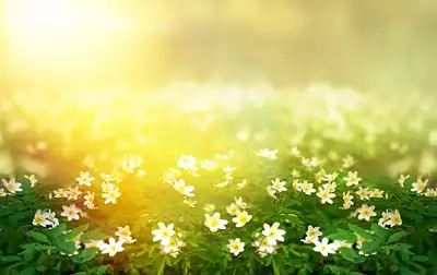 Maison neuve, 90 m²