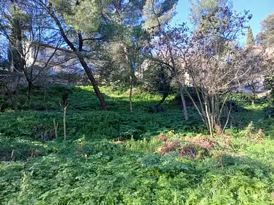 Maison neuve, 77 m²