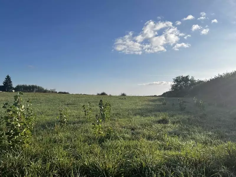 Maison neuve, 90 m² - Marcilly-lès-Buxy (71390)