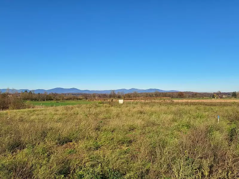 Terrain à bâtir, 450 m² - Dannemarie (68210)