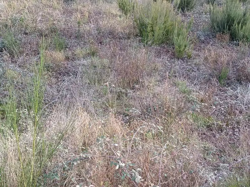 Terrain à bâtir, 492 m² - Latour-Bas-Elne (66200)