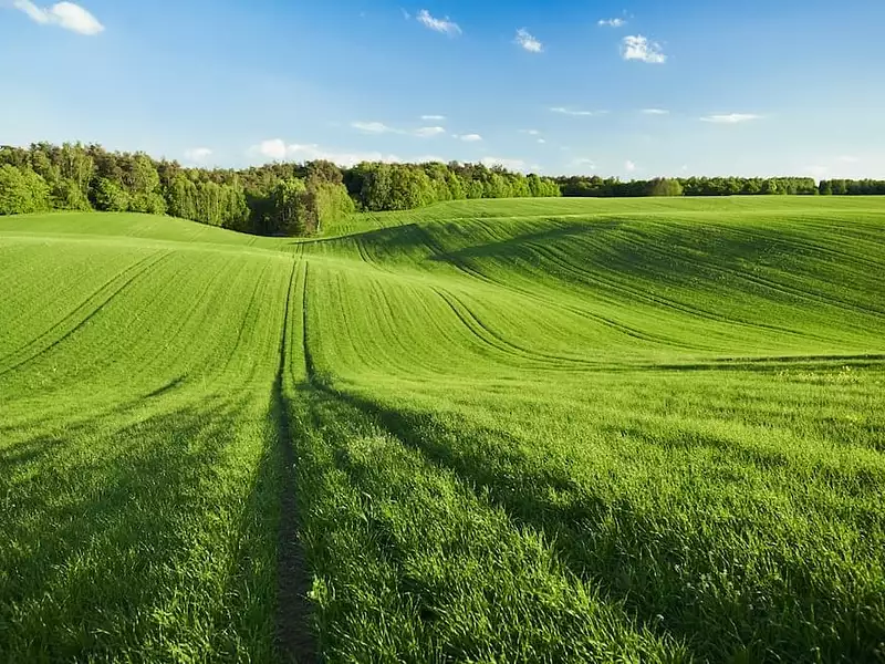 Maison neuve, 100 m² - Bellevigny (85170)