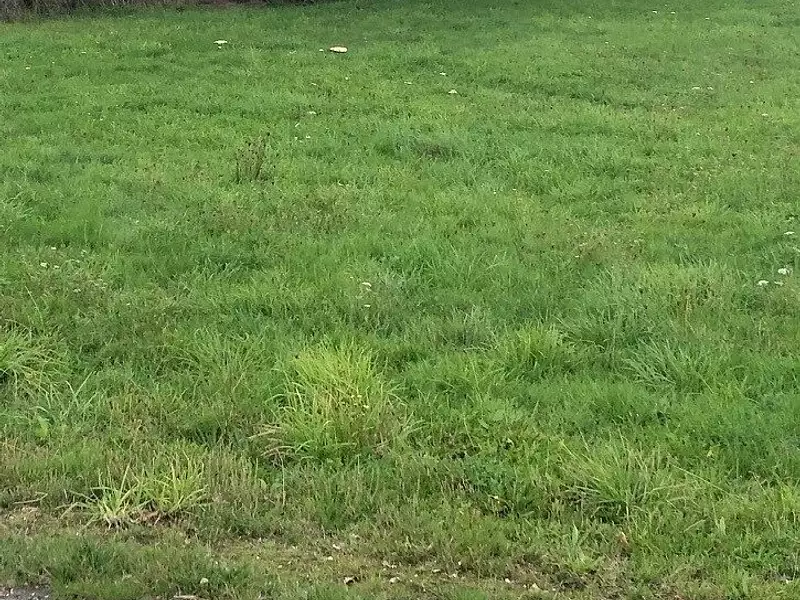 Terrain à bâtir, 410 m² - Rezé (44400)