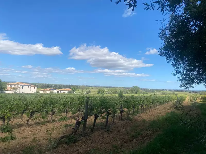 Terrain à bâtir, 475 m² - Ginestas (11120)