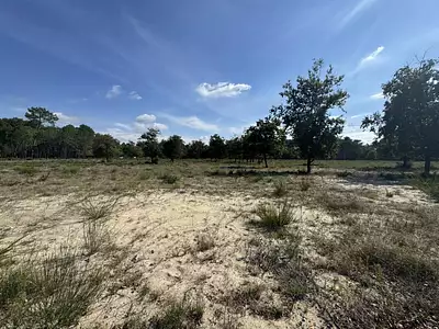 Terrain à bâtir, 950 m²