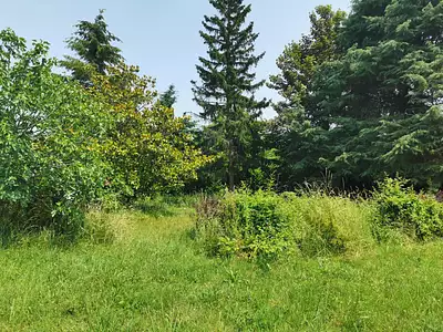 Maison neuve, 130 m²