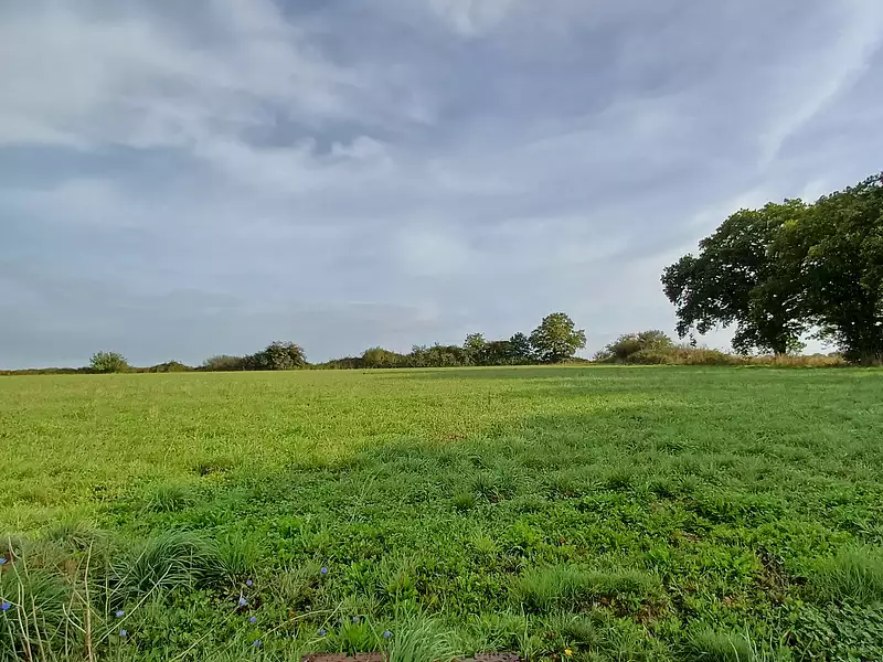 Terrain à bâtir, 300 m² - Malville (44260)