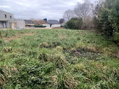 Maison neuve, 83 m²