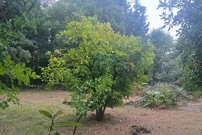 Terrain à bâtir, 515 m²