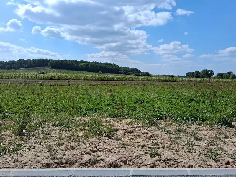 Maison neuve, 70 m² - Sigoulès-et-Flaugeac (24240)