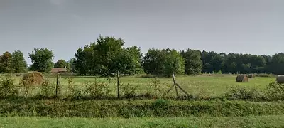 Terrain à bâtir, 1 300 m²