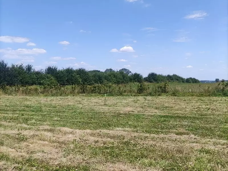 Maison neuve, 135 m² - Bosc-le-Hard (76850)