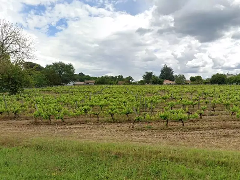 Terrain à bâtir, 460 m² - Saint-Selve (33650)