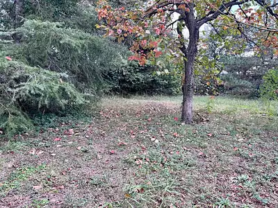 Maison neuve, 130 m²