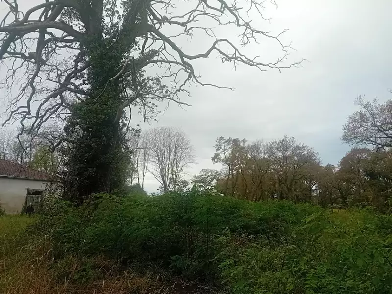 Terrain à bâtir, 600 m² - Biganos (33380)