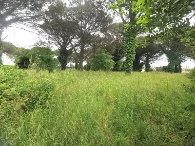 Terrain à bâtir, 1 009 m²