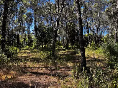 Maison neuve, 105 m²