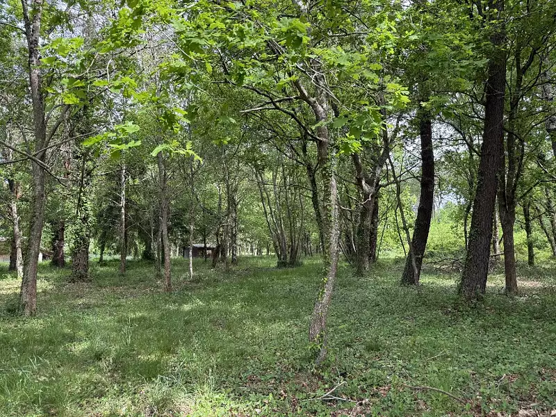 Terrain à bâtir, 1 535 m² - Mios (33380)