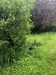 Terrain à bâtir, 438 m²