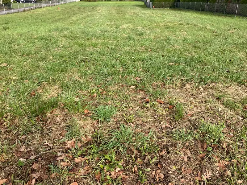 Terrain à bâtir, 750 m² - Saint-Georges-des-Coteaux (17810)