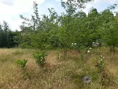 Terrain à bâtir