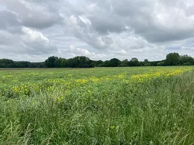 Maison neuve, 140 m²