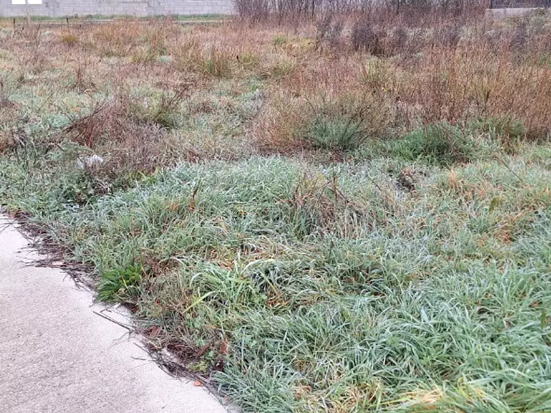 Terrain à bâtir, 514 m² - Plaisance-du-Touch (31830)