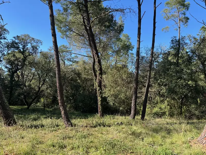 Terrain à bâtir, 344 m² - Suze-la-Rousse (26790)