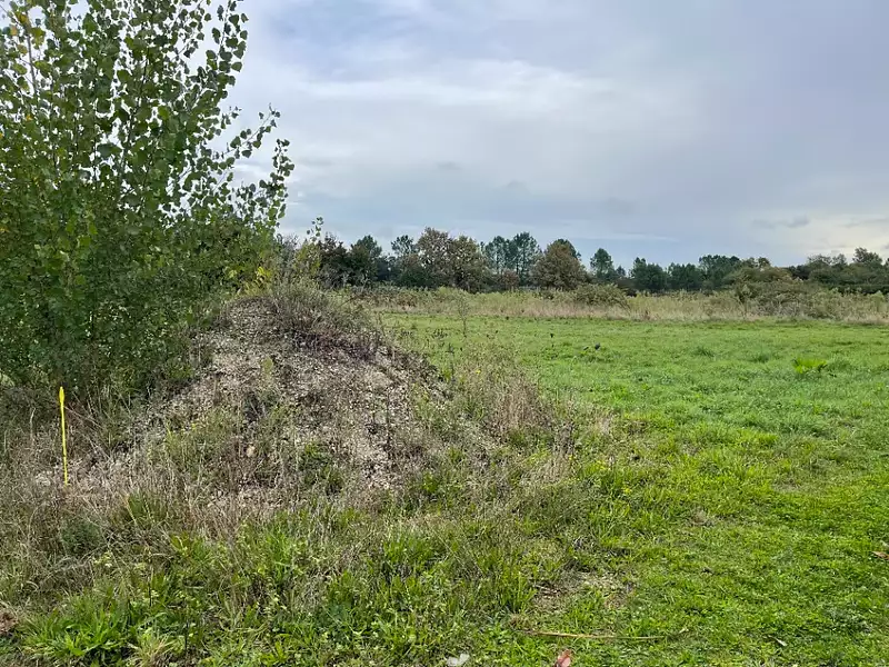 Maison neuve, 80 m² - Langon (33210)