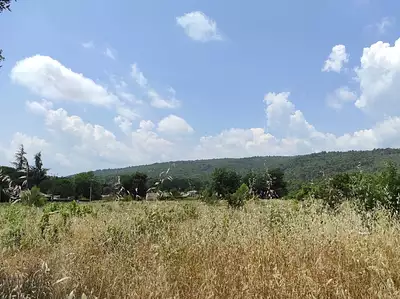 Terrain à bâtir, 1 180 m²